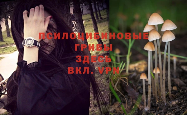 тгк Баксан
