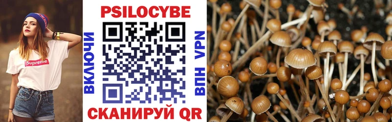 Галлюциногенные грибы Psilocybe  ссылка на мегу рабочий сайт  Коммунар 